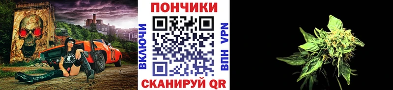 Шишки марихуана семена Ишим